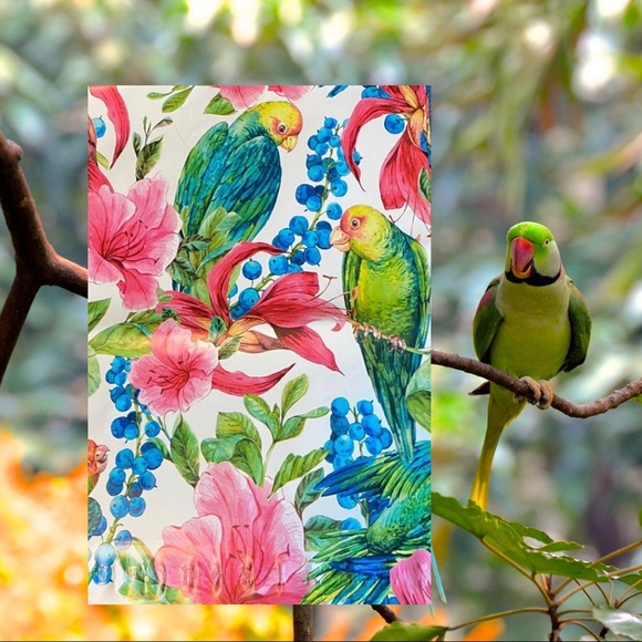 25 10X13 Poly Mailers Tropical Parrot Bird PRICE IS FIRM - Picture 8 of 12